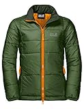 Wasserdicht, winddicht Jack Wolfskin Kinder Argon Jacke, deep forest, 176, 1608261