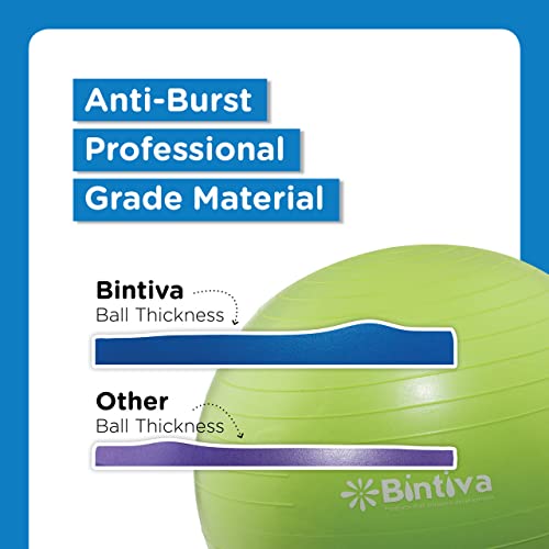 Bintiva Swiss Ball/Exercise Ball (Blue, 75Cm) #TOP1