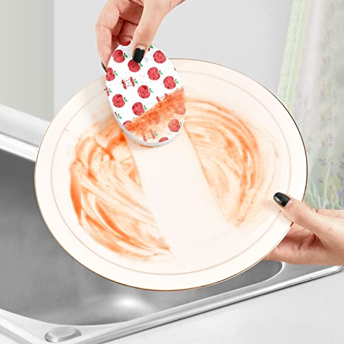 Image of susiyo Red Apples Fruits Sponges Kitchen Dish Sponge 3 Pcs Compressed Scrub Sponges for Washing Dishes