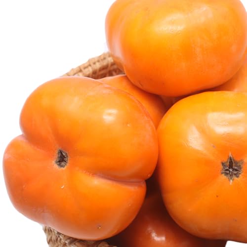 Y` mY Ap 5kg 20`30ʑO O݂͂̂̂ Ƃт肨`̉l uh`