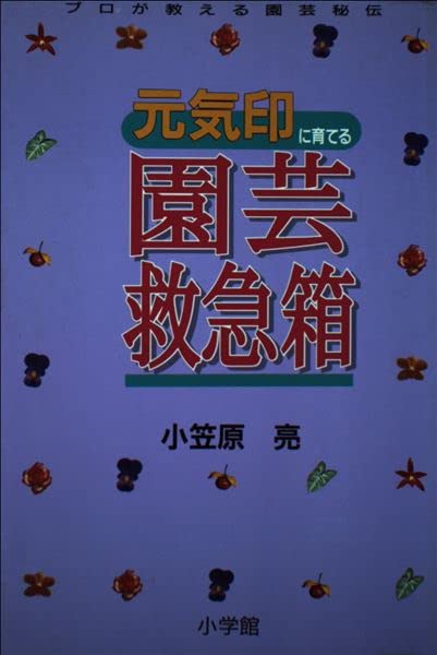 Amazon.co.jp: 小笠原 亮: 本、バイオグラフィー、最新アップデート