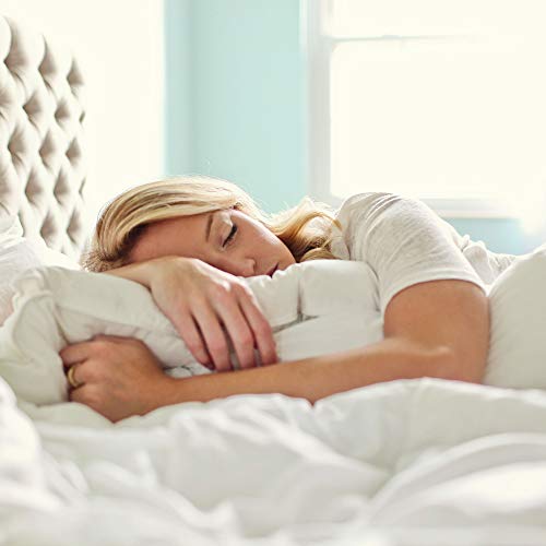 Charisma Luxe Down Alternative Gel Filled Chamber 2-Pack Pillow Standard Size White #TOP3