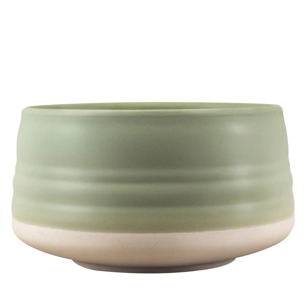 Mary Rose Matcha Set con Accessori | Mary Rose Matcha Tè Verde 100g | Matchawan | Kusenaoshi | Accessori in Bambù Chasen Chashaku