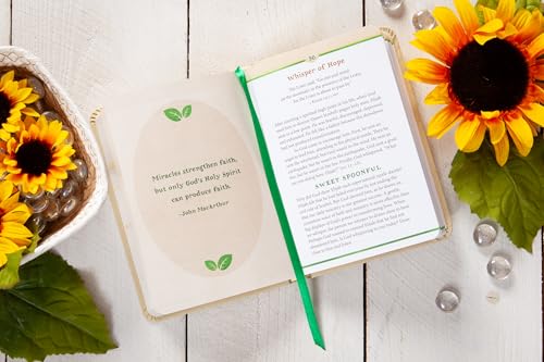 Sweet Tea and Thee: 90 Devotions to Perk Up Your Day - Sweeten Your Life with Southern Wit and Biblical Wisdom - Image 4