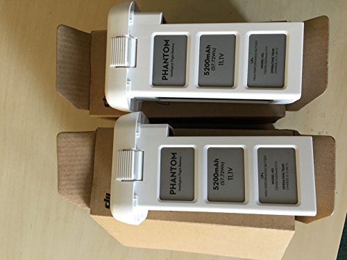 DJI Battery for Phantom 2 and Phantom 2 Vision (Two Pack)