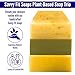 Savvy Fit Soaps Handmade Natural Soap Bar - AROMATHERAPY BARS - ZEST EVER Bar, BOOTEA Bar, FOREVER Bar Soap Bars - Plant-Based - Both Body & Face - Cruelty-Free Gift (Pack of 3) 4.5 oz/Bar