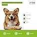 ITIKO Natürliche Verdauungs für Hunde | Flohsamenschalen mit Probiotika Hund | Darmflora Aufbau Hund | Alternative zu Heilerde/Heilmoor für Hunde | Durchfall Nahrungsergänzungsmittel