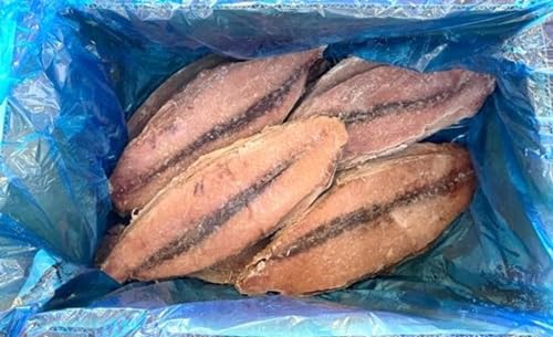 Ɩp {錧Y tB[POiPP?PTj