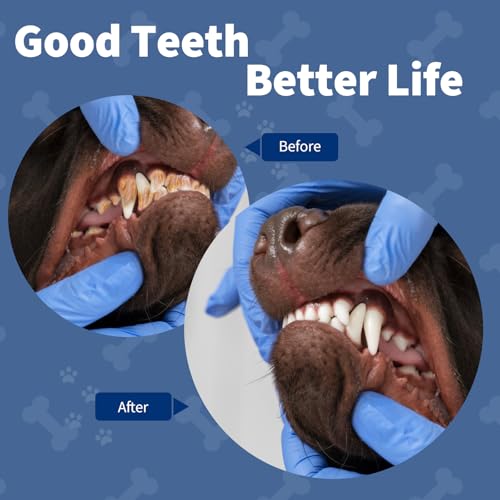 Ganciu Removedor Ultrassônico de Placa e Tártaro para Cães - Branco - Elétrico com Fio - Automático