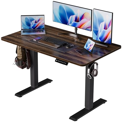 BIZUM 40x24 Inch Electric Standing Desk with Memory Presets, Quiet