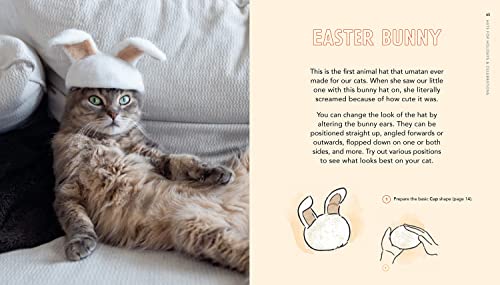 Cats in Hats: Make Cat-hair Headgear for Your Feline Friends