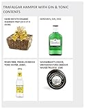 Trafalgar Luxury Gin Hamper - Gin and Tonic Gift Set with Fever-Tree, Mature Cheddar, Cotswold Brie, Chilli Peanuts - G&T Gifts for Birthdays, Anniversaries and other Occasions, from Regency Hampers - Image 3
