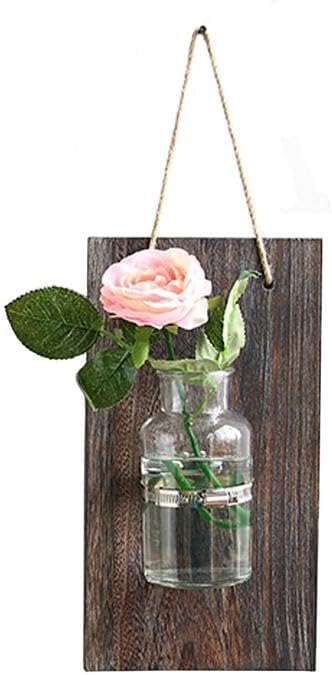 Wall Hanging Planter Glass Terrarium Propagation Stations 2 Flower Vases Hydroponics Bulb for Home Office Wall Decoration