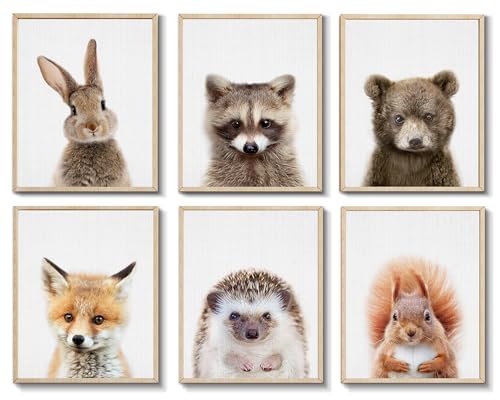 EPHANY Baby Animal Posters and Prints, Canvas Painting Nursery Pig Wall Art, Piglet Print Wall Art Nordic Picture Kids Room Decoration (YMX015,8"x10"(20x25cm))