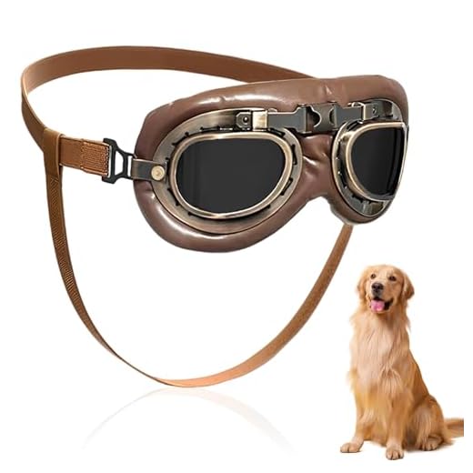 HORREX Winddicht Hundemotorradbrille