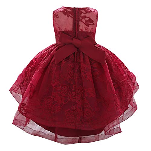 MYRISAM Baby Girls Flower Lace Embroidery High Low Dress 1st Birthday Christening Party Wedding Pageant Baptism Tutu Gown3