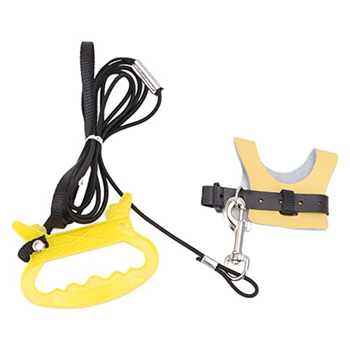 Coleira para pássaros, fácil manutenção, fácil de usar, design de gancho, alça de tração de papagaio