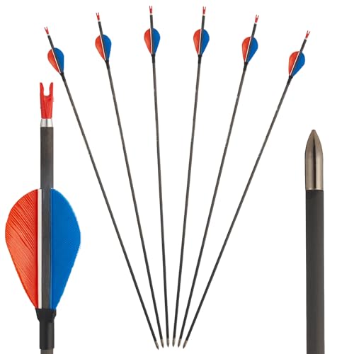 Toparchery 6er Pfeile für Bogenschießen 31 Zoll Reinem Carbonpfeile ID4,2mm Bogenpfeile mit Naturfedern (Spine 900)