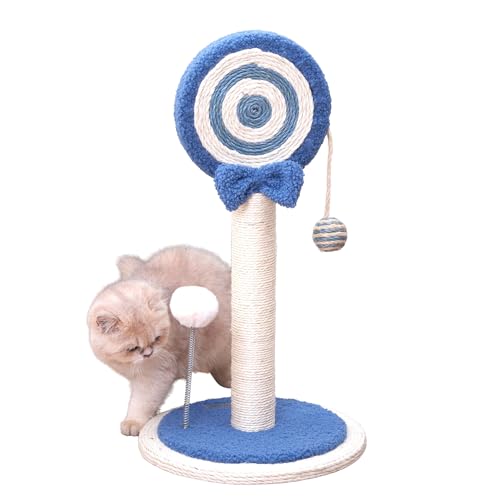 LXNb`|XgXNb`[ qL LeBp 킢 ȔL TCU[v   ~j u[ ANZT[ 24C` |bv |Xg  nMO{[