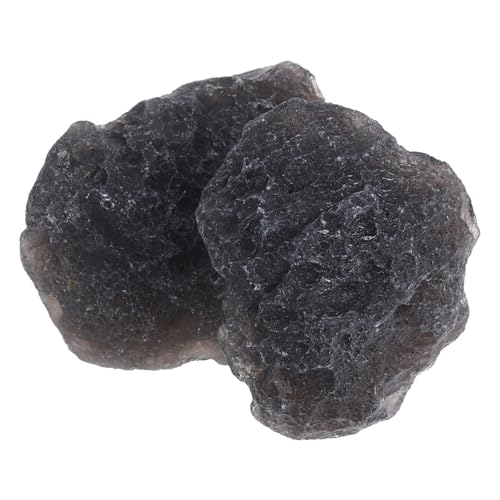 Cabilock Teaching Stone Specimen 2pcs Meteorite Stone Specimen Natural Meteorite Irregular Decor for Classroom