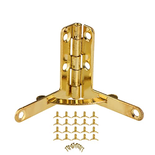 Fafeicy Charnières à Ressort Solides à Angle de 90 ° pour Boîtier, 20 Charnières de Petite Boîte en Forme de L 1,2 X 1,3 Pouces avec Sac de Vis pour Bijoux, Bouteille de Vin, Boîte de Montre (GOLD)