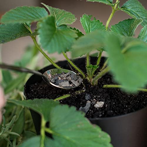 Bokashi Sólido 250 gramas - Yes, We Grow