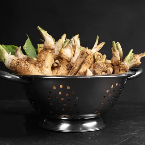 semi di rafano biologici di medicinali rafano, resistenti da giardino, giardino sul balcone, 500pcs