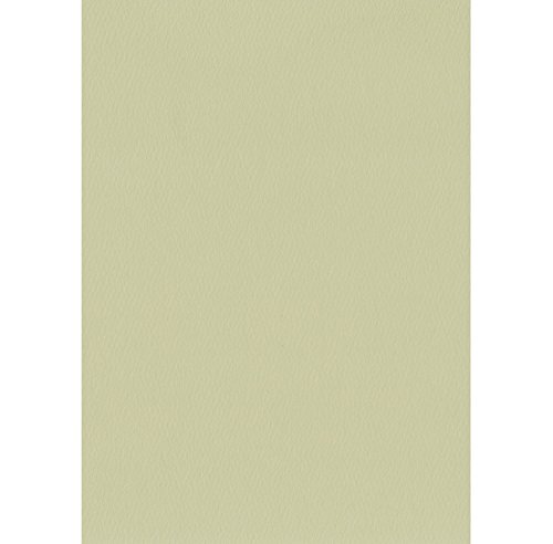 エスケント 色画用紙 スターウェーブ 八切 ウィロー 100枚 5008810