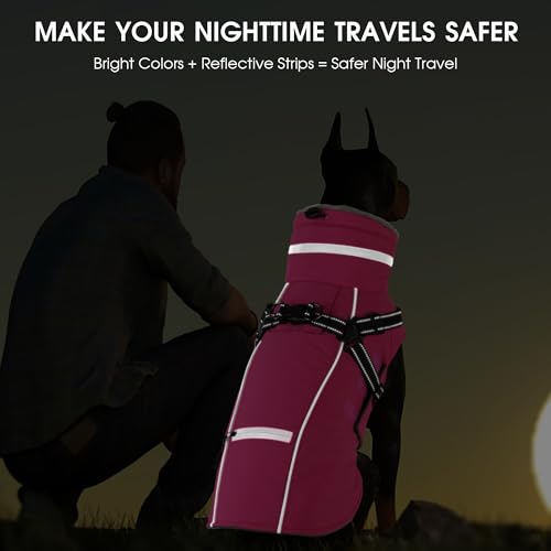 Chaqueta reflectante para perro ideal para paseos nocturnos lluviosos 5