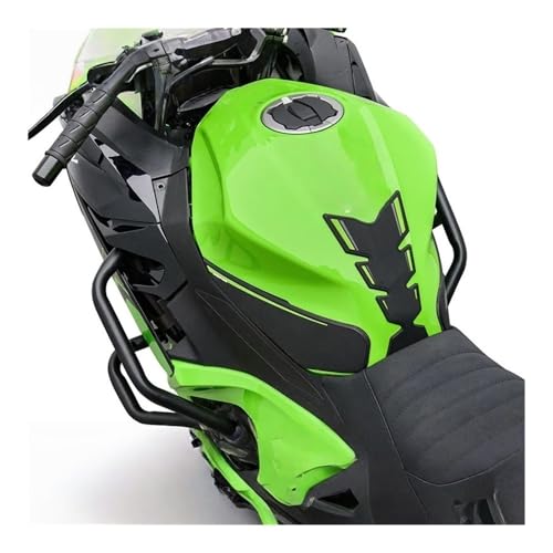 Protection cage cascade Ninja400 évite les bris de moteur