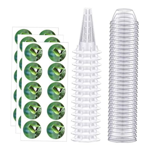 Luxshiny AcJo[ k͔|plbg|bg oXPbgt yʓۉh[ pr͔|  A琬p 