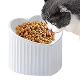 Entretien facile : avec son design anti-rayures et lisse, notre gamelle en céramique pour chat garantit la protection de la santé bucco-dentaire de votre ami à fourrure. Il est résistant aux rayures et aux dommages et facile à nettoyer.