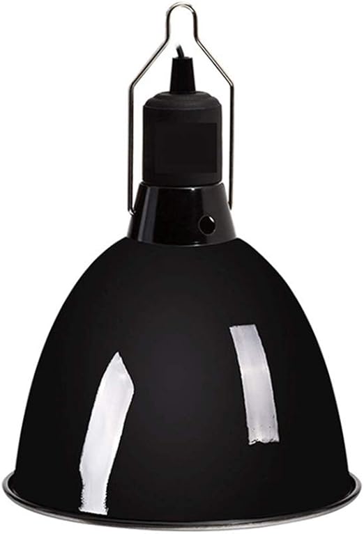 reptile light hanger