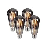 【Sicherheit 】Vintage Glühbirne mit Überlast, Kurzschluss und Übertemperaturschutz. Komfortable Lichtquelle, unschädlich für Haut und Augen. LED Lampe Rauchgrau Glühbirne, rundum 360-Grad-Licht, Warme Farbe ist ein sanfter, oranger Strahl. Komfortable Lichtquelle, unschädlich für Haut und Augen.