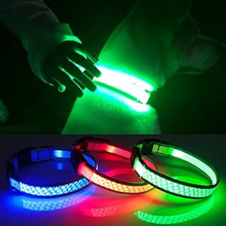 Light Up Dog Collar LED Flashing Dog Collar USB Rechargeab with 2 Refelective Strips, illuminated Dog Collars for Dogs Glow in the Dark, Light Up Your Dog at Night Collars-Spot and Protect Your Dog.