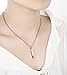 Amody Acero Inoxidable Cubic Zirconia rectángulo Plata Urna Collar Cenizas cremación Memorial...