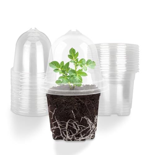 SilverChry 20 Pcs Macetas de Vivero, 10.5cm Macetas Plastico, con Tapa y Cúpula de Humedad, para Plantas Suculentas,Semillas,Plantas