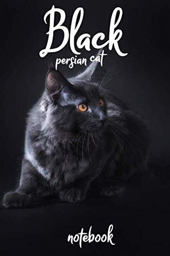 Black persian cat notebook: Lined journal/dairy to write in, good gift idea for cat breeds lovers
