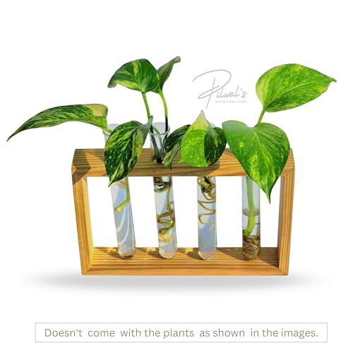 Image of Pilwals Modern Wooden Test Tube Vase, Multi-Tube Hydroponic Propagation Station, Desktop Propagation Station, Flower Holder for Home Office Decor, Four Test Tube Planter with Wooden Stand Pine Wood.