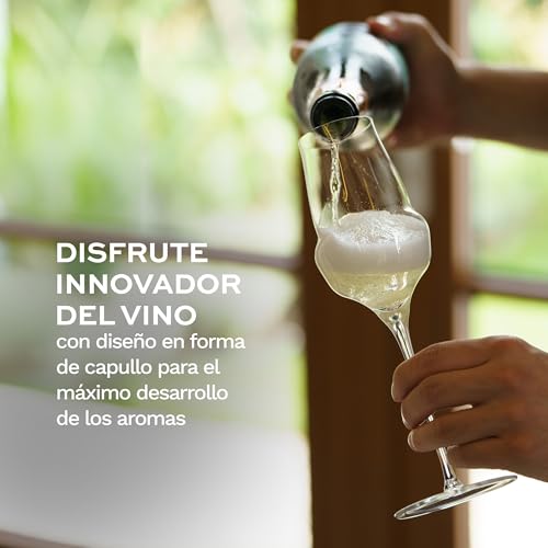 Copas de champán set de 6 Stölzle Lausitz Cocoon extravagantes de 340ml 5