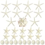 Queekay 15 Pieces Resin Starfish Sand Dollars 2.0 Inch 4.7 Inch Starfish 2.3 Inch Sand Dollars Crafts Ocean Themed Glittered Coastal Decorations for Summer Wedding Christmas Party Decor Supplies