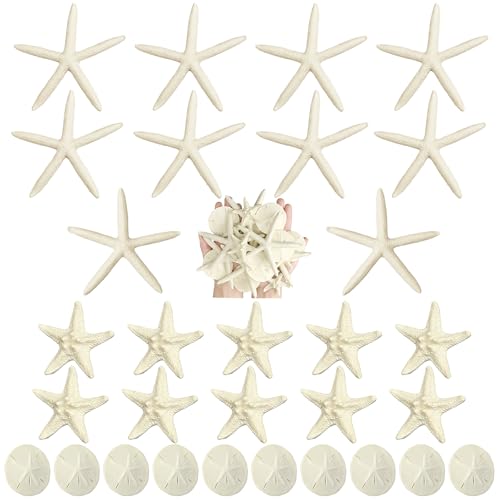 Queekay 30 Pcs Resin Starfish Sand Dollars for Crafts 2-4.7