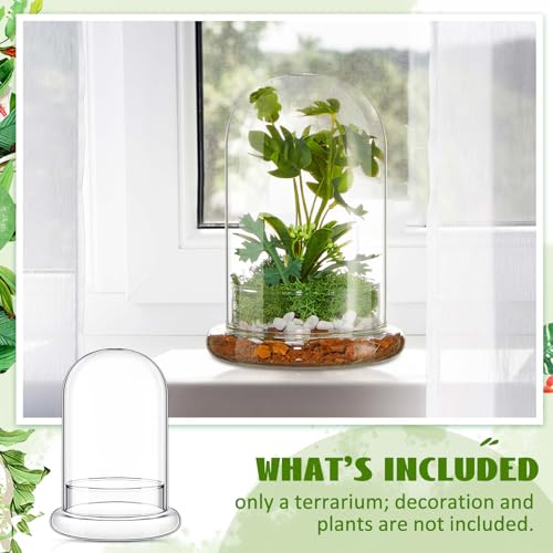 Terrarium en verre pour centre de table et décoration florale chic