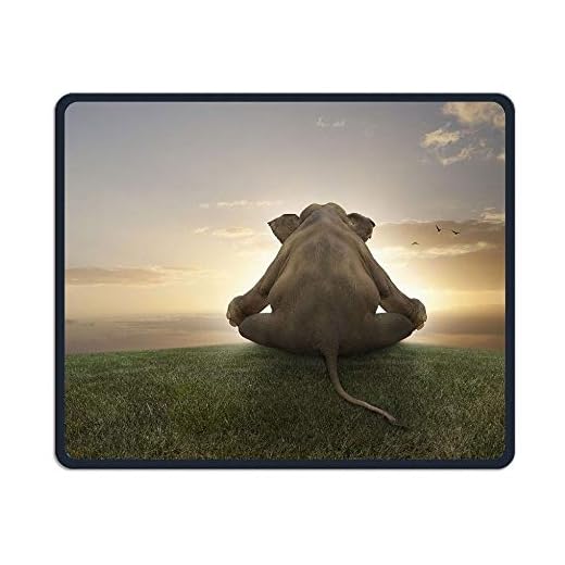 Elefante Sentado en la Hierba disfrutando de Sunset Office, Juego Necesario, Buen compañero Ratón, Mouse Pad