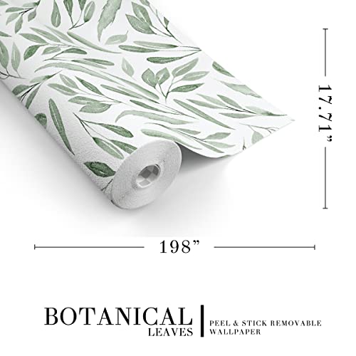 Hall & Perry Botanical Leaves Peel And Stick Removable Wallpaper, Green, 17.71 In X 198 In Roll #TOP1