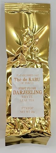 �_�[�W���� DJ-1 WHYTE FTWFOP 20g