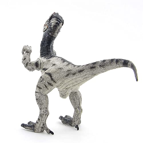 Coyka - Dinosaur Toys Park - Dino World Model - Jurassic Action Figures - Velociraptor Great Predator – Black And White #TOP3
