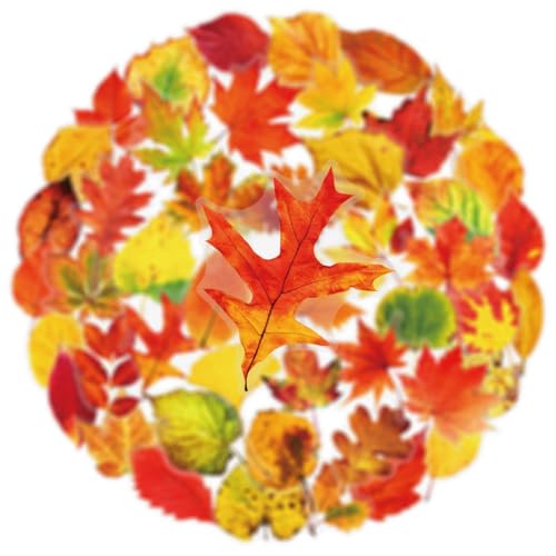 Image of 50 Aesthetic Fallen Leaves Stickers Flora Scrapbook Stickers Pack(Yellow) | Transparent & Waterproof for Water Bottle, Scrapbook Supplies,Junk Journal Supplies, DIY Crafts, Party Supplies
