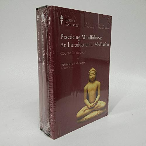 Practicing Mindfulness: An Introduction to Meditation