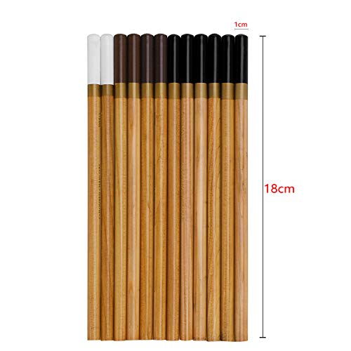 12 Pack General Sketch Pencil Charcoal Colorful Pencils Colored Highlight Pen Drawing and Sketching Pencil Art Supplies Charcoal Stick Wooden Colored Pencils for Artist and Beginner Art Projects